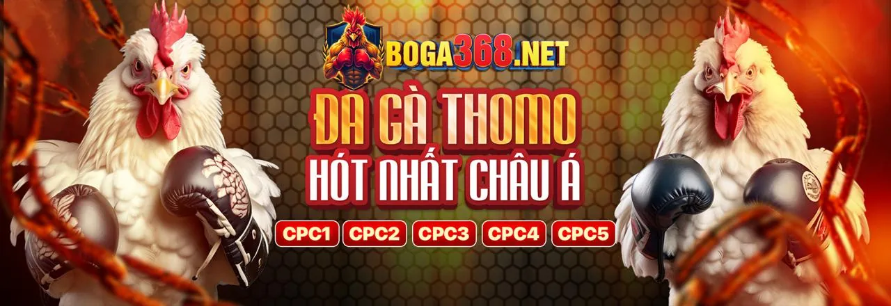 Chương trình VIP 8kbe Đá Gà