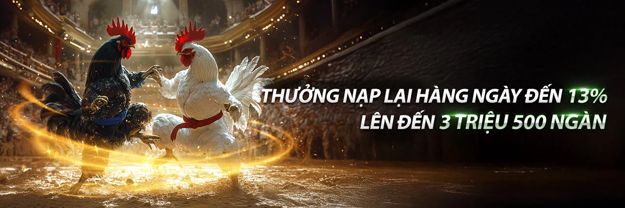 Tin tức 8kbe Đá Gà mới nhất